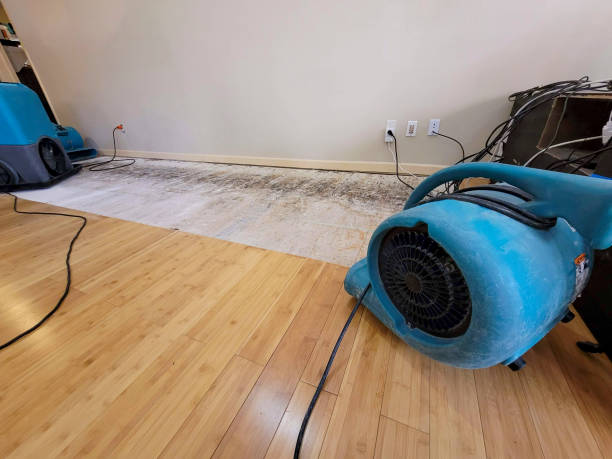Professional Flood Damage Cleanup technician working in Heiskell, TN